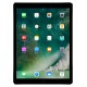 Apple iPad Pro Wi-Fi 256 GB 12.9" Space Gray - Envío Gratuito